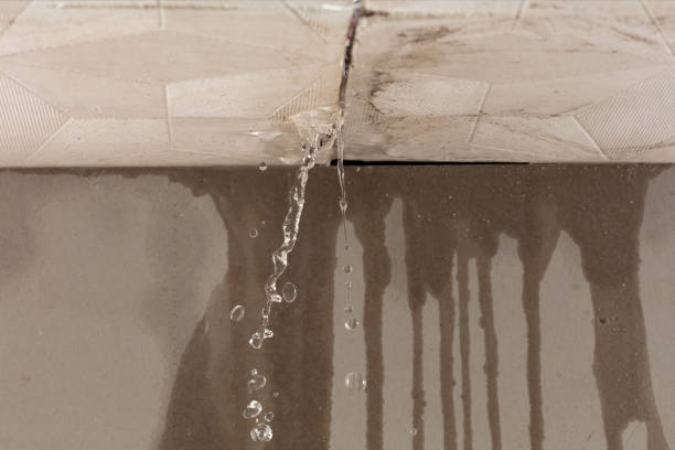 Professional Structural Drying technician working in Itasca, TX